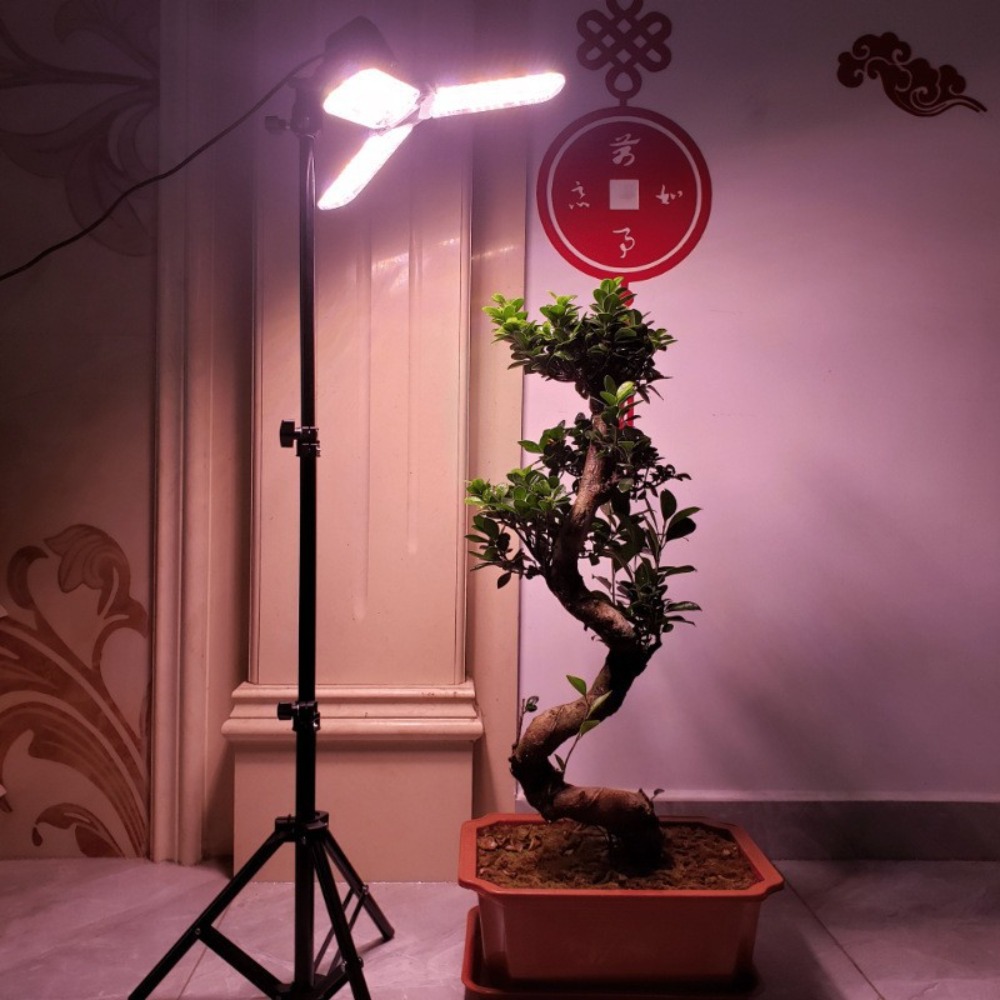 Подставка для лампочки 2 м, цо – обзор и цена Lighting In Photography Studio